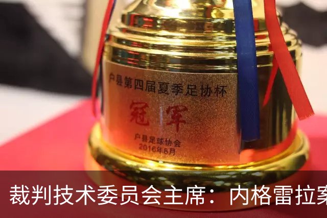 裁判技术委员会主席：内格雷拉案玷污裁判体系的公正